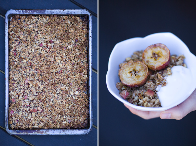 Crabapple_crumble_pie_2