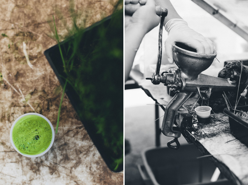 Farmer's Market Union Square