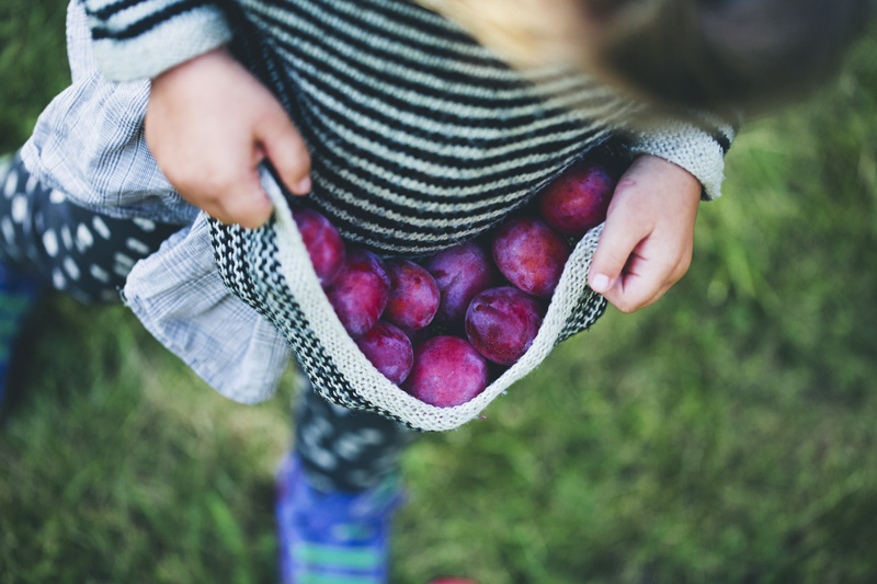 Autumn_plum_stick_bread_01