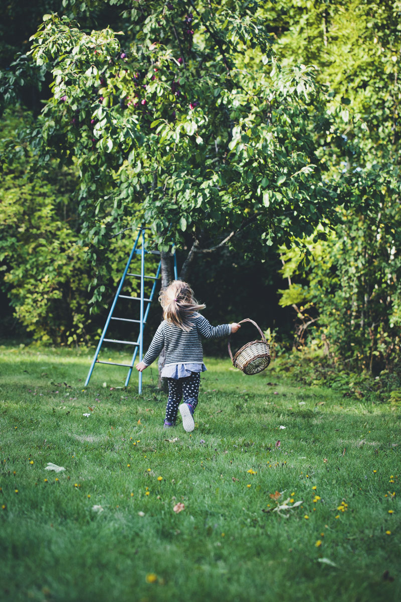 Autumn_plum_stick_bread_03