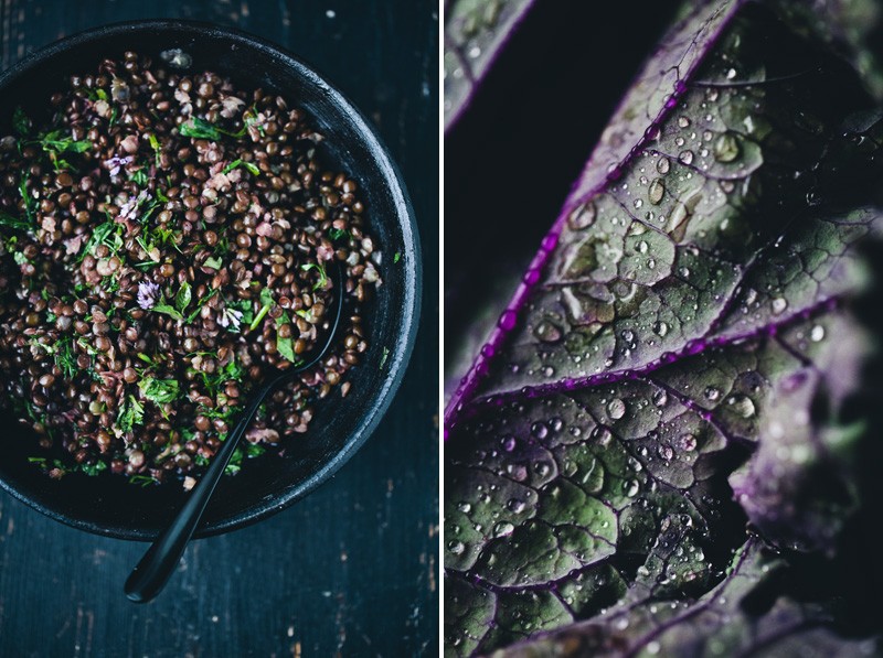Purple_kale_salad_3