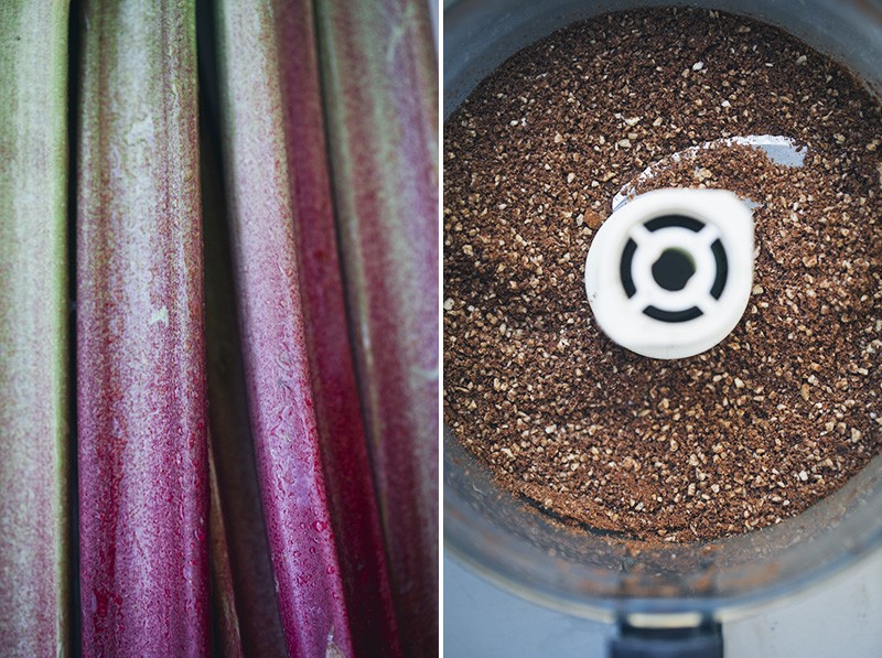 Rhubarb_Ice_Cream_Sandwiches_2