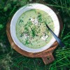 Summer Zucchini Soup