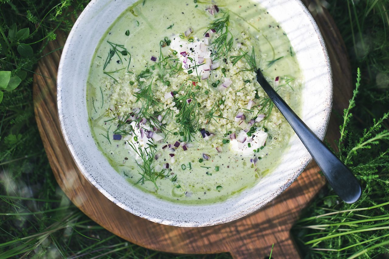 Summer Zucchini Soup
