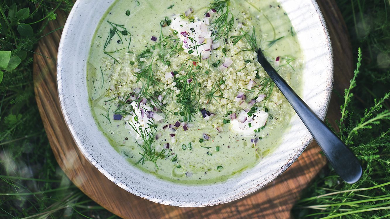 Summer Zucchini Soup